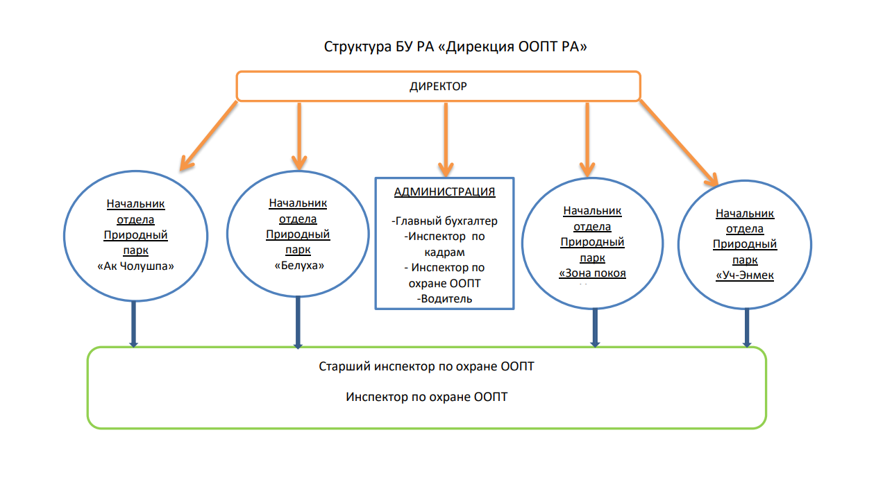 Структура