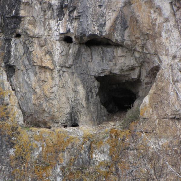 пещера Таркольская